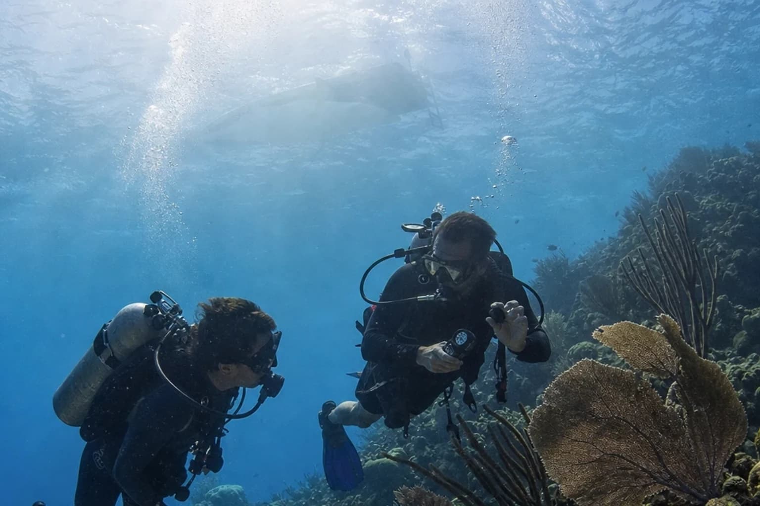 Dos buzos practican buceo en Cozumel junto a un arrecife, mientras el guía evalúa la corriente