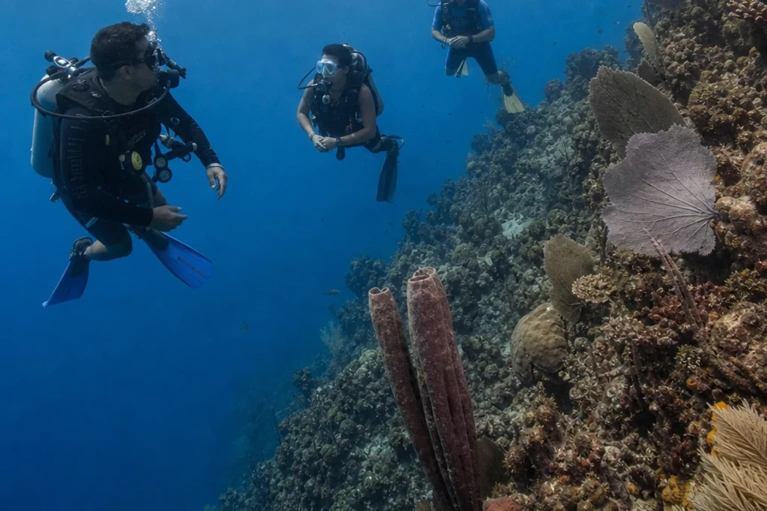 Three divers glide above a coral wall in an illustration of scuba diving in Cozumel, led by a divemaster