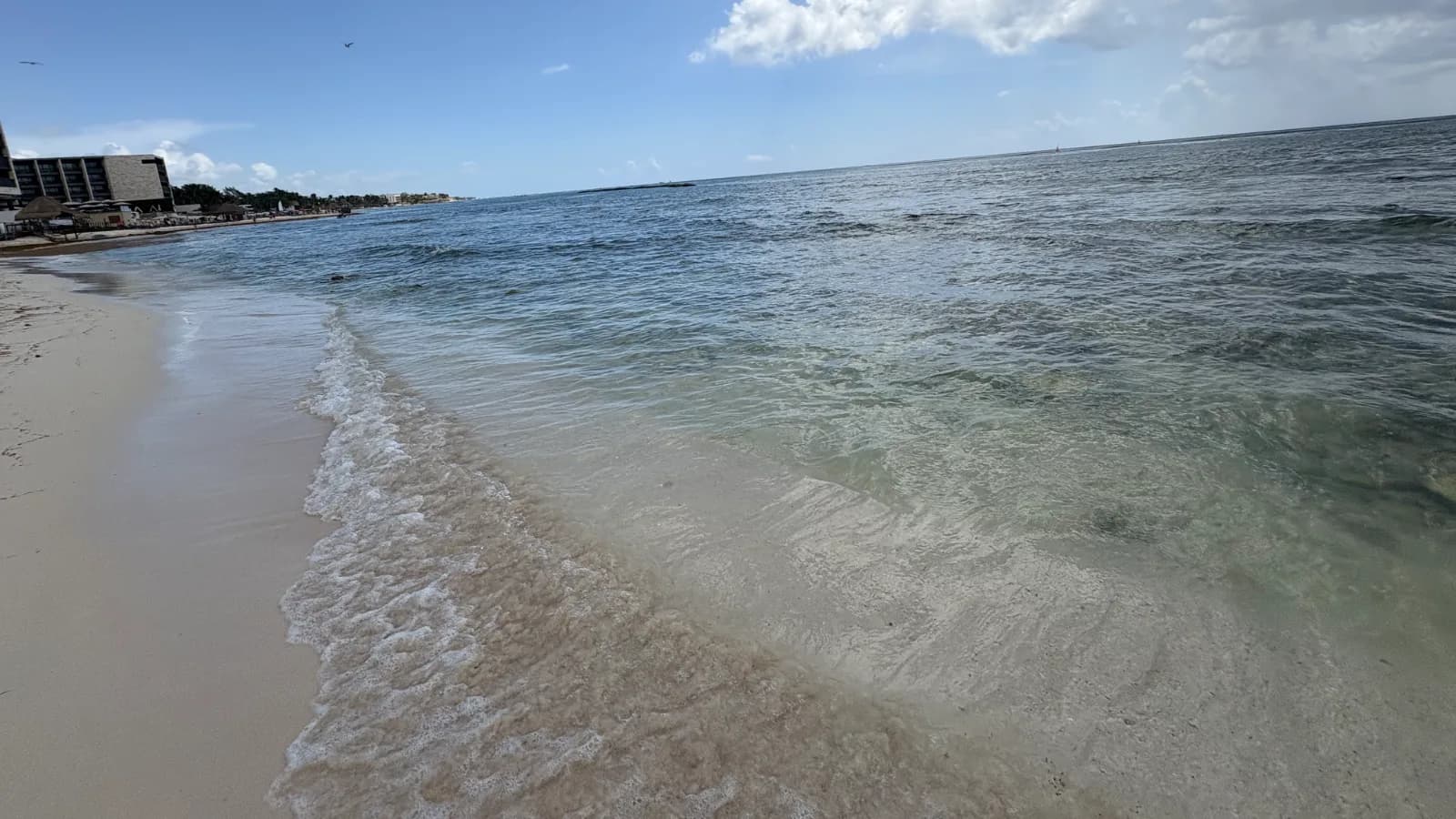 Community photo of Playa Ave. Constituyentes on 2026-09-05; observed sargassum: Little
